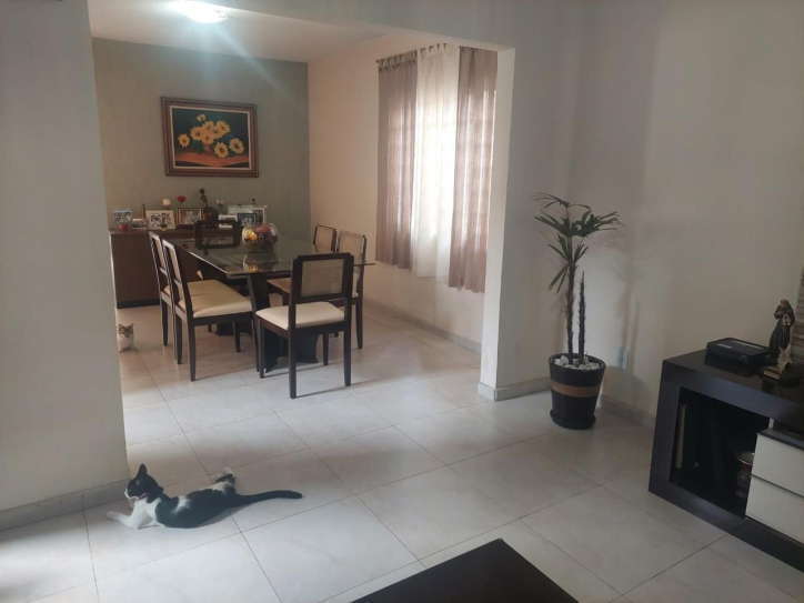 Sobrado, 4 quartos, 385 m² - Foto 32