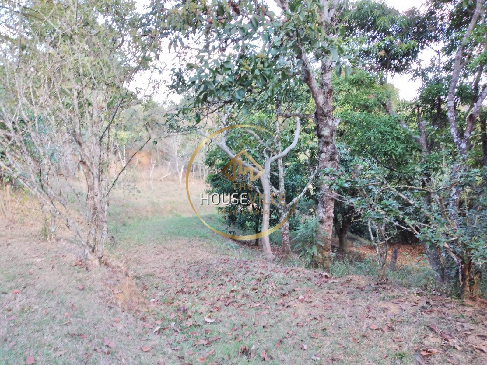 Chácara, 3 quartos, 1 hectares - Foto 31