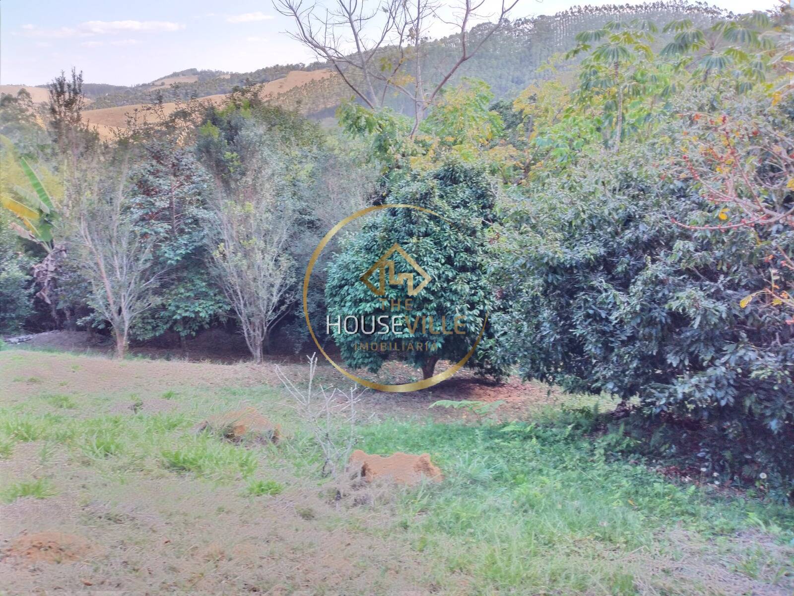 Chácara, 3 quartos, 1 hectares - Foto 38