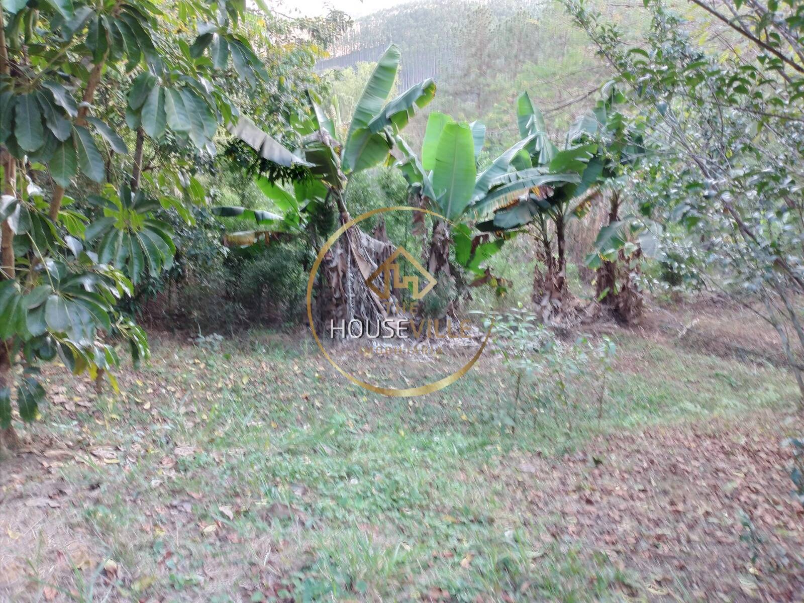 Chácara, 3 quartos, 1 hectares - Foto 39