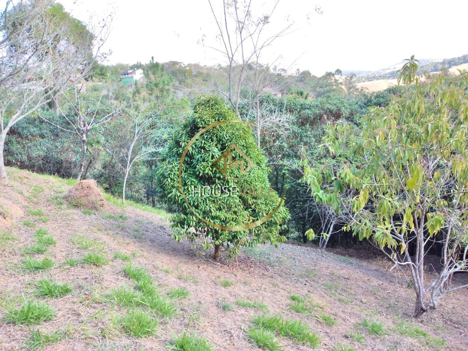 Chácara, 3 quartos, 1 hectares - Foto 41