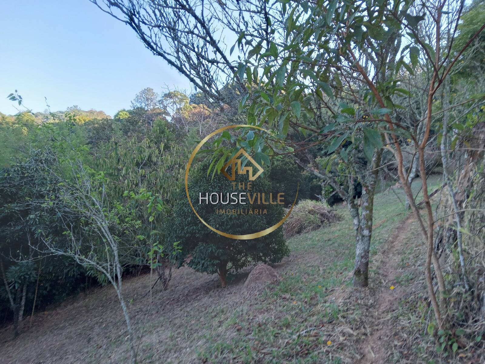 Chácara, 3 quartos, 1 hectares - Foto 44