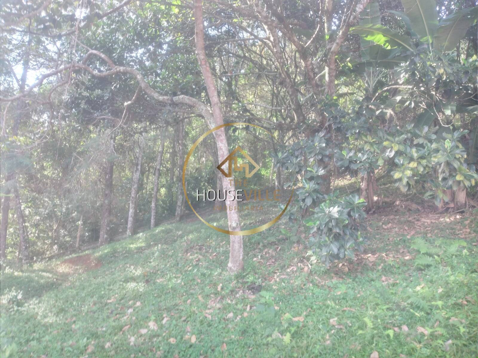 Chácara, 3 quartos, 1 hectares - Foto 45