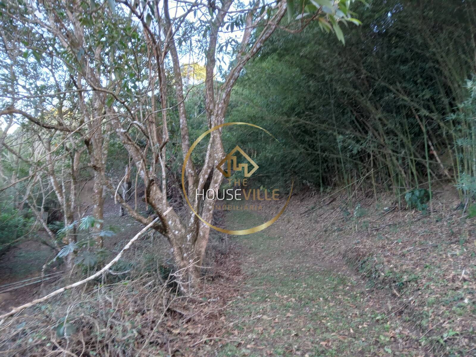 Chácara, 3 quartos, 1 hectares - Foto 46