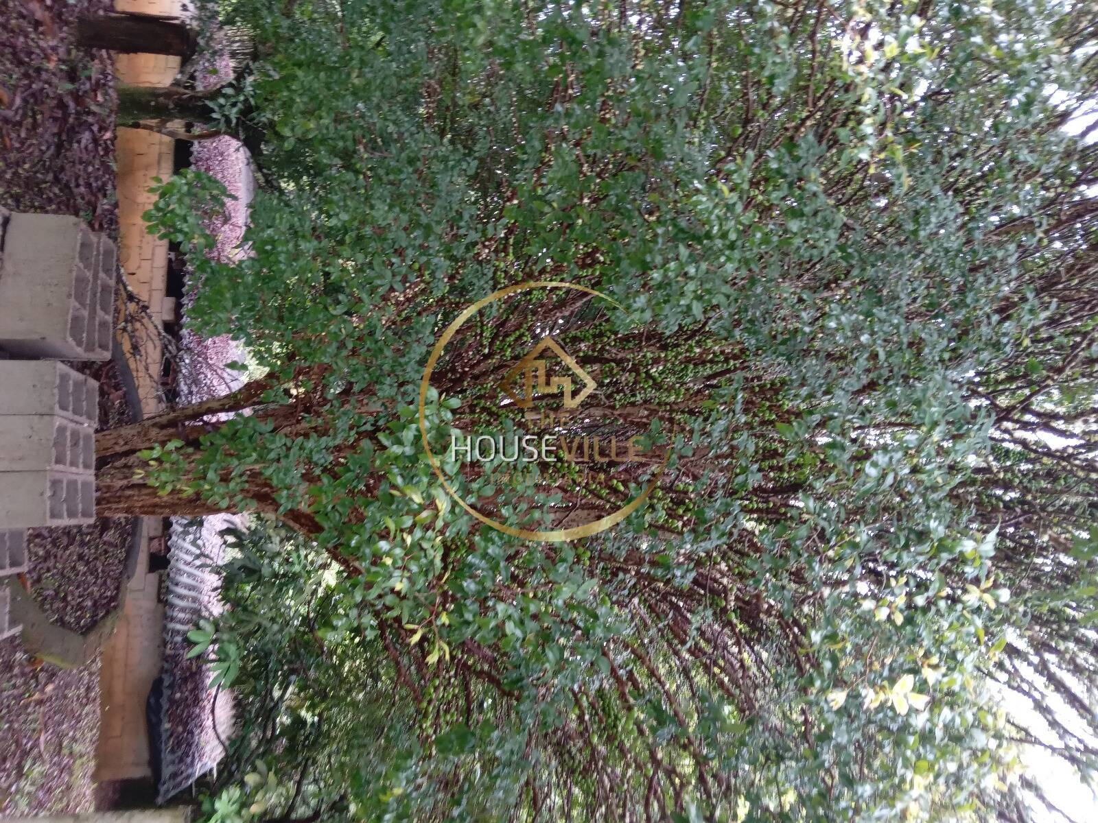 Chácara, 3 quartos, 1 hectares - Foto 47