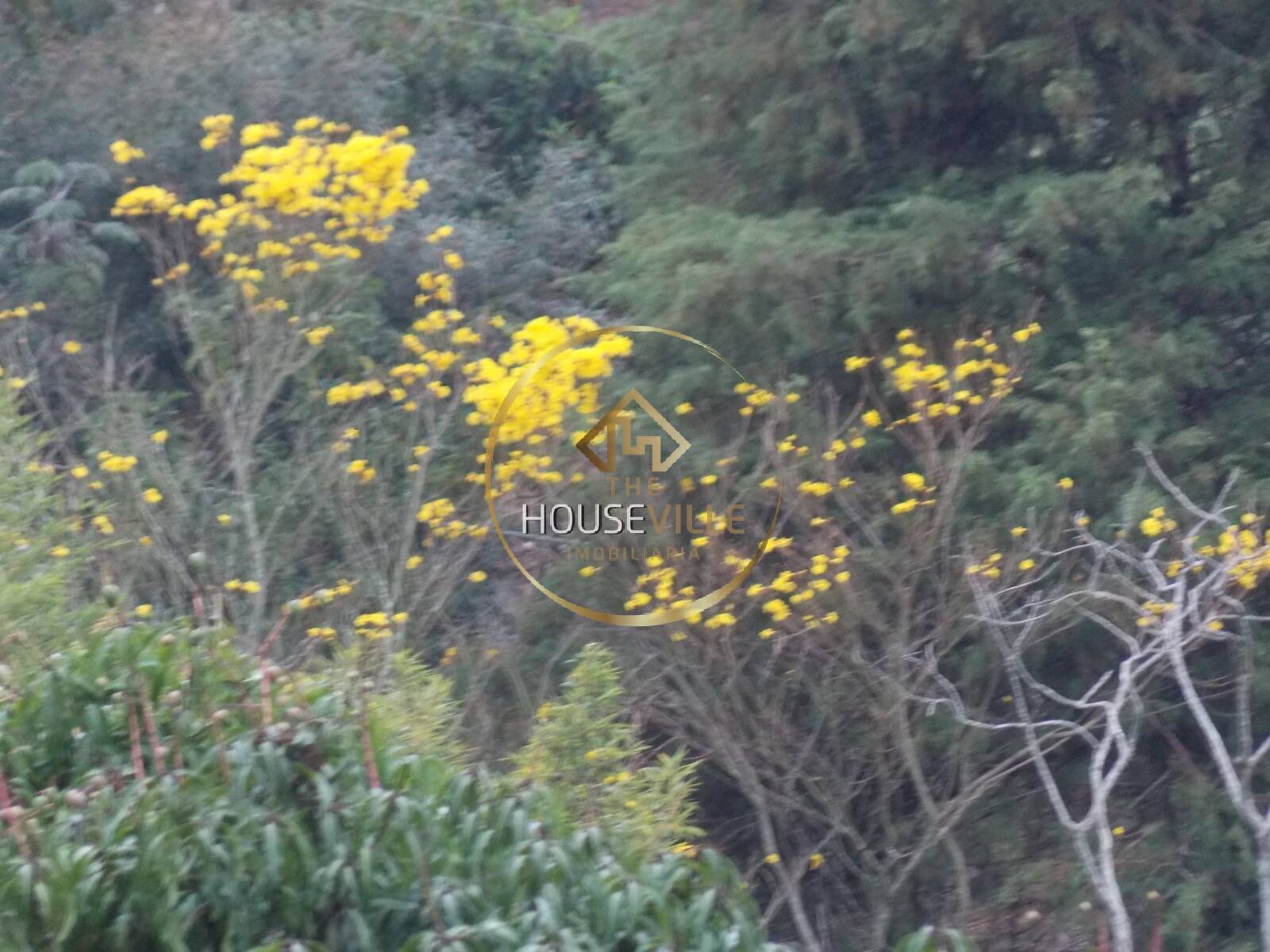 Chácara, 3 quartos, 1 hectares - Foto 55