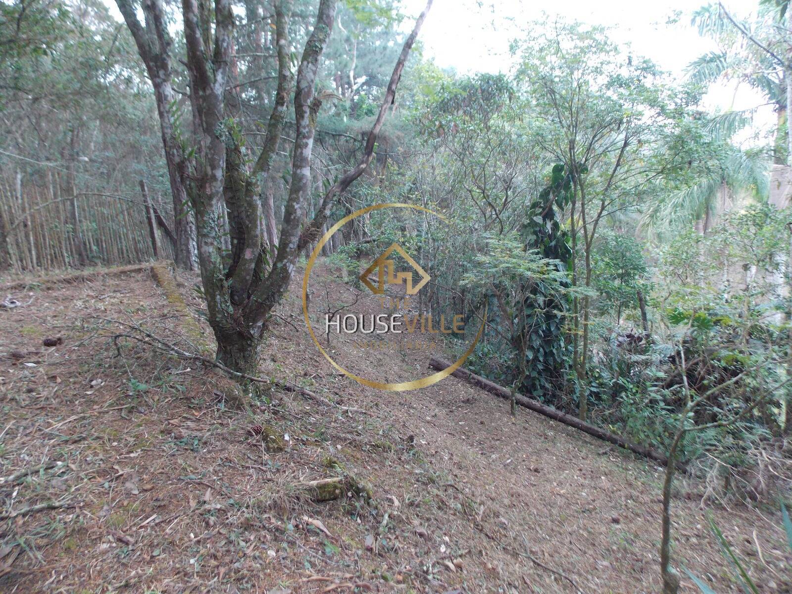 Chácara, 3 quartos, 1 hectares - Foto 56