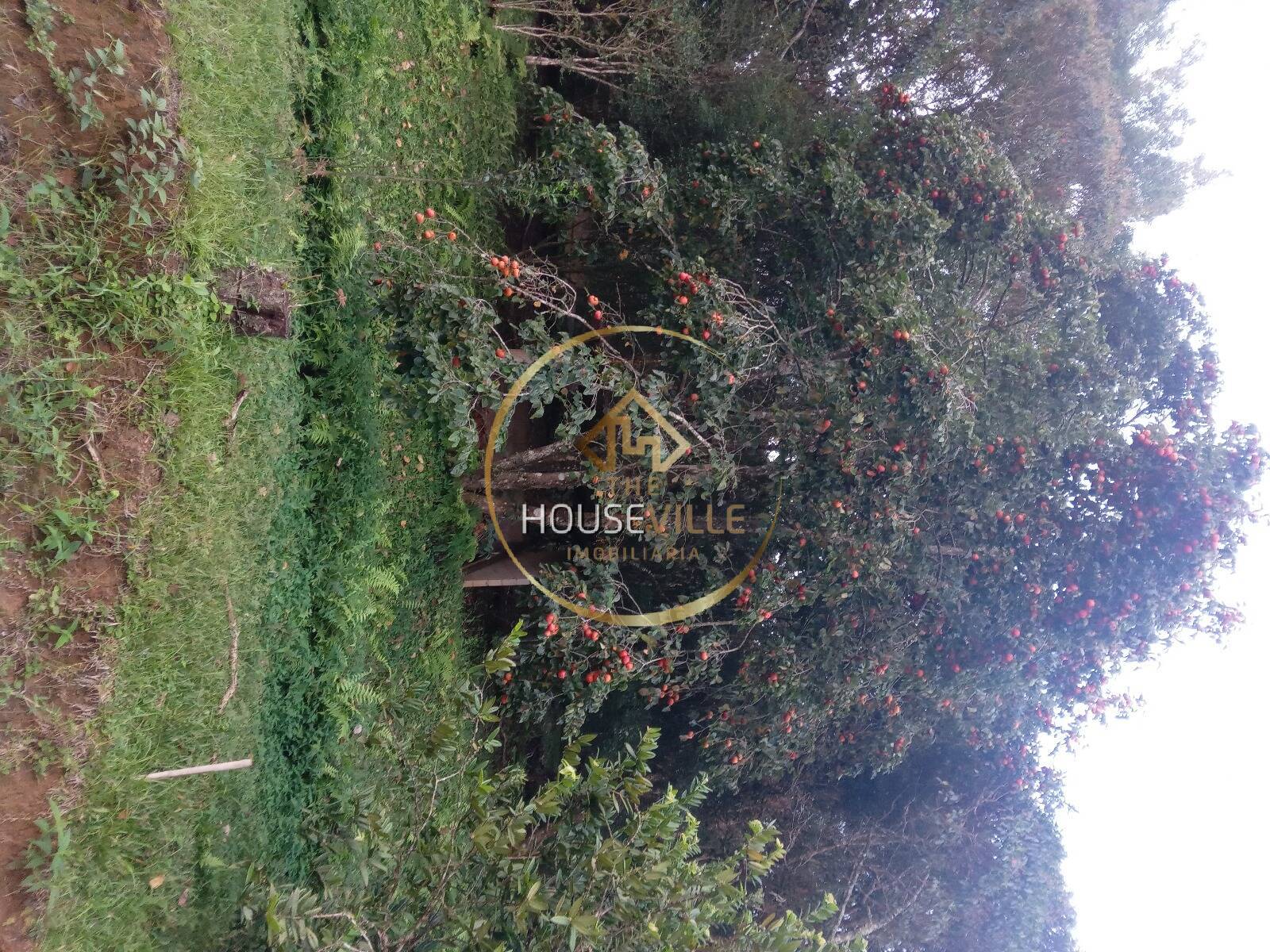 Chácara, 3 quartos, 1 hectares - Foto 32