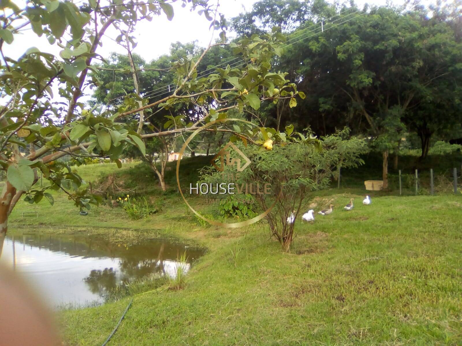 Chácara, 3 quartos, 1 hectares - Foto 6