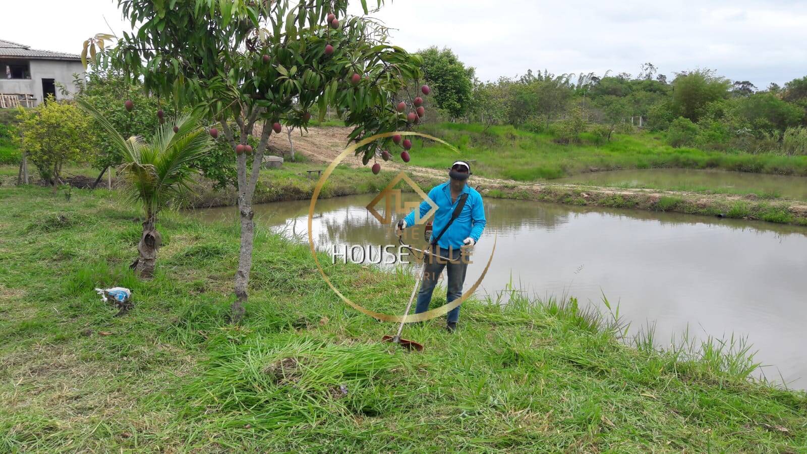 Chácara, 3 quartos, 1 hectares - Foto 19