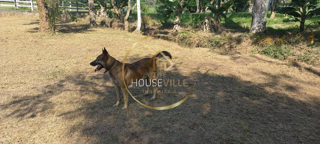 Sítio, 3 quartos, 10 hectares - Foto 6