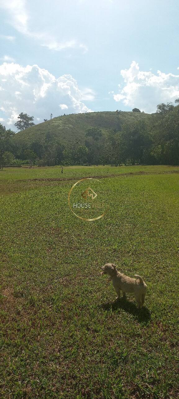 Sítio, 3 quartos, 10 hectares - Foto 9