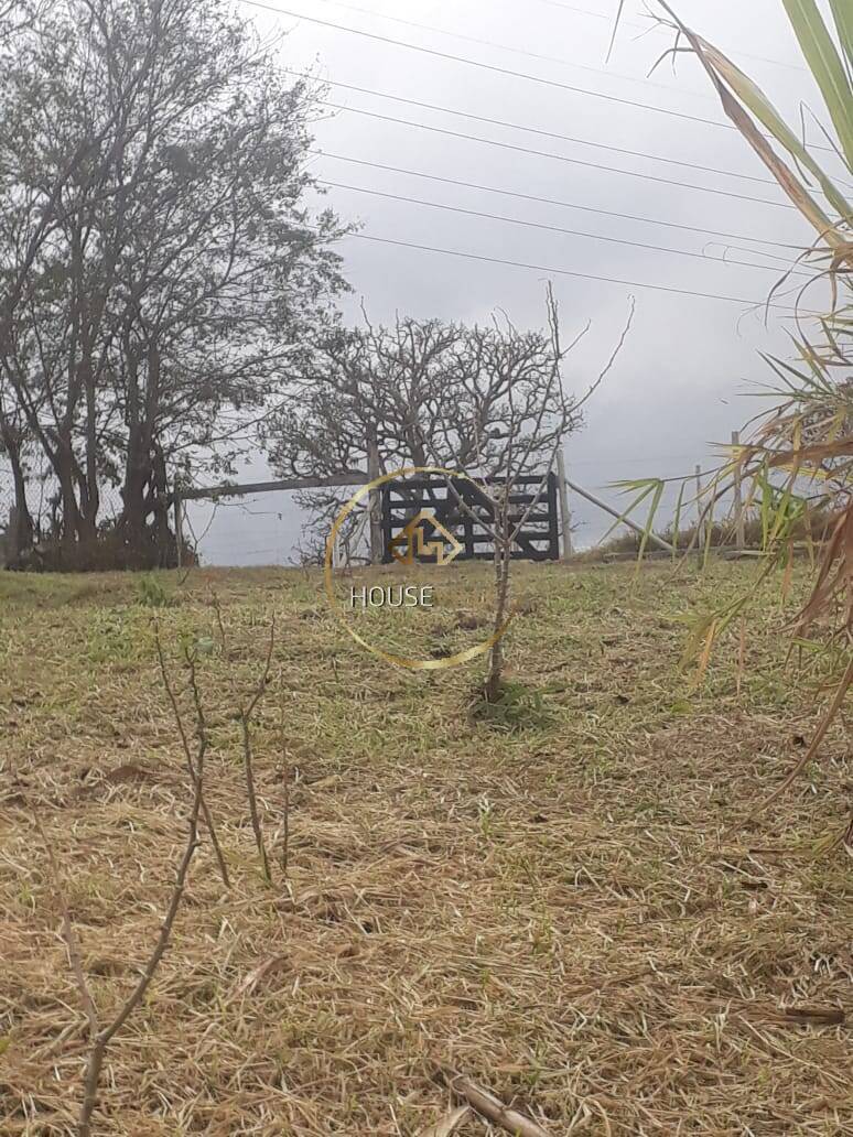 Terreno, 1223 m² - Foto 3