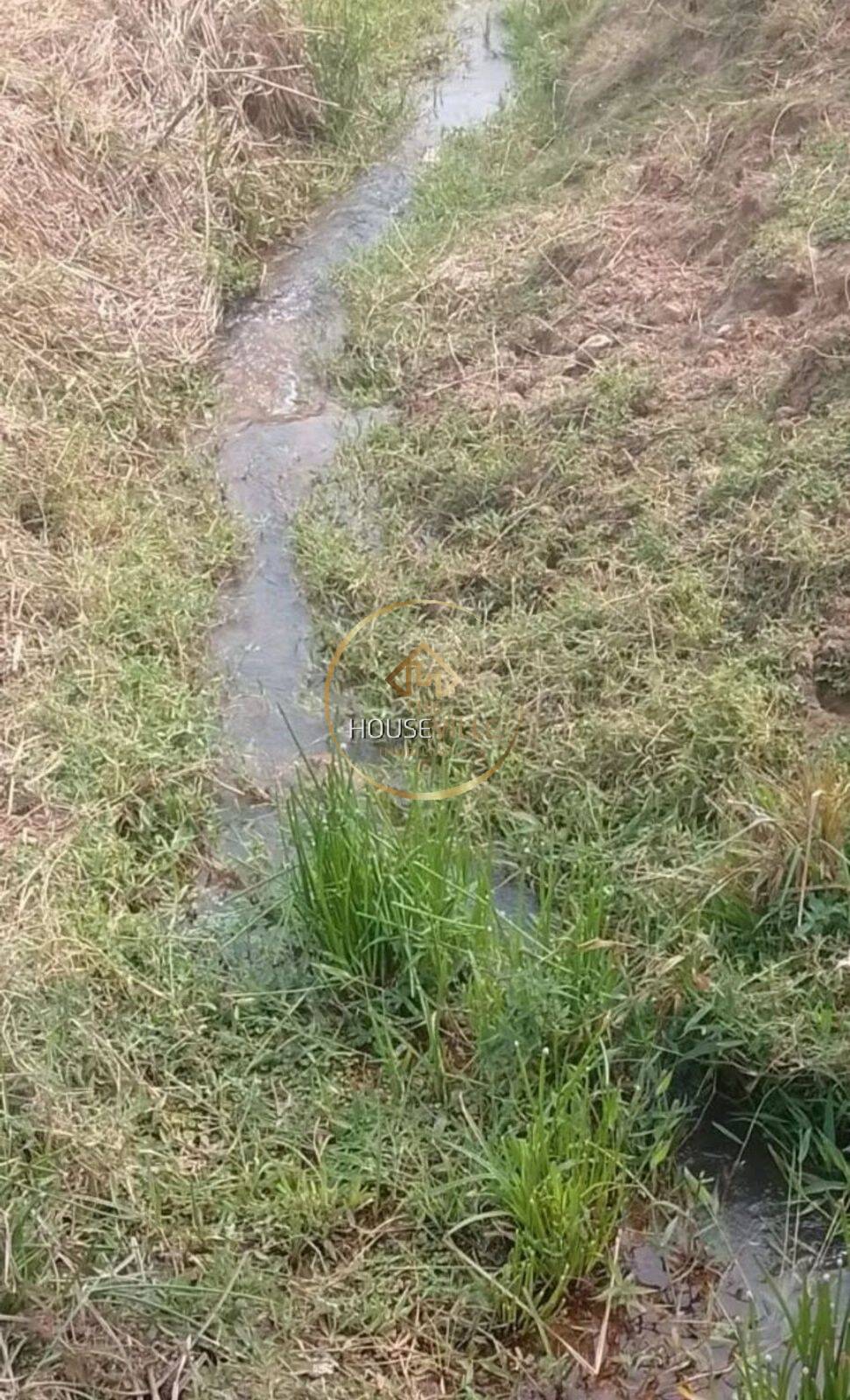 Terreno, 7753 m² - Foto 2