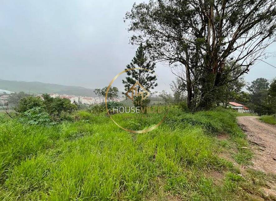 Terreno à venda, 120750m² - Foto 6