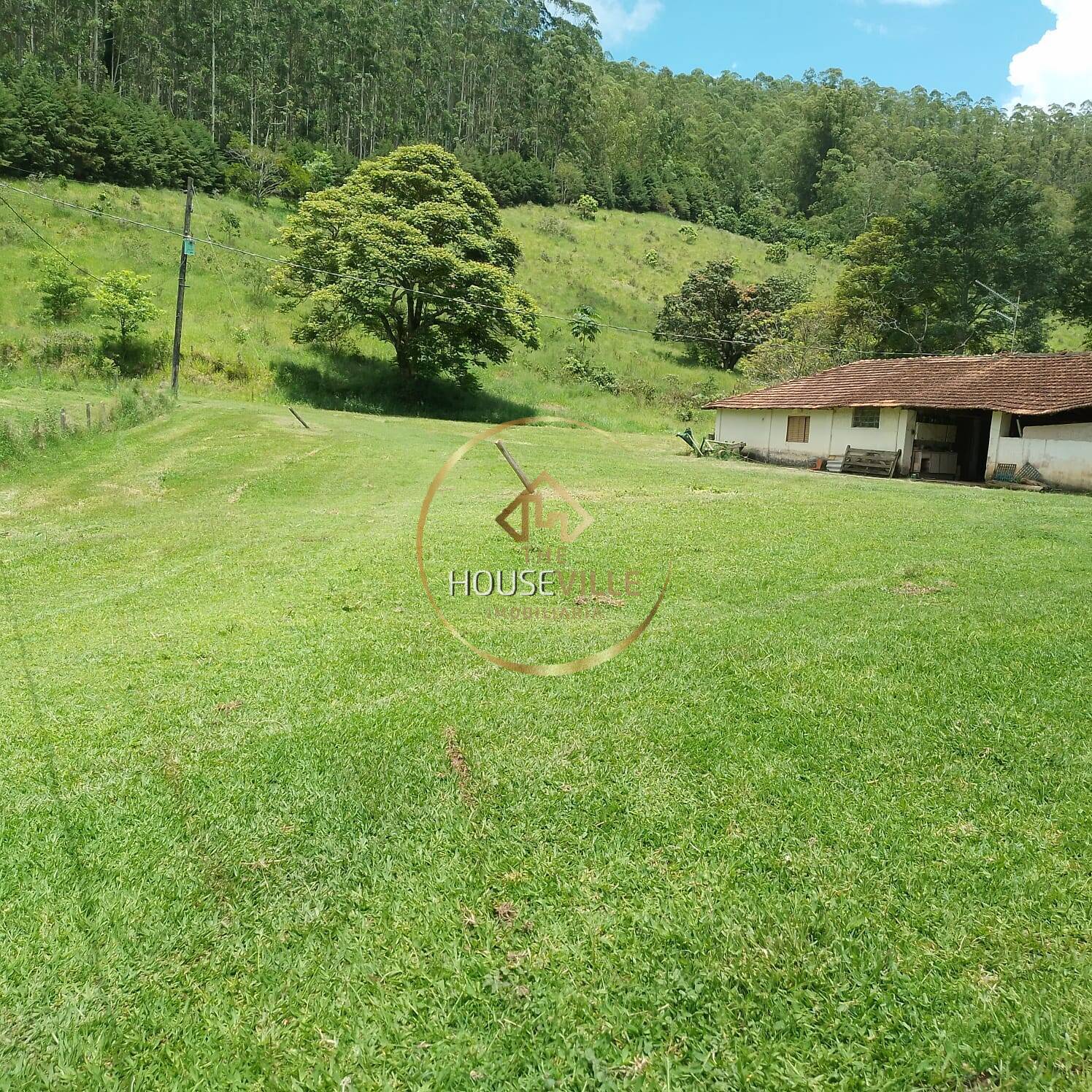 Fazenda à venda com 3 quartos, 1440000m² - Foto 6