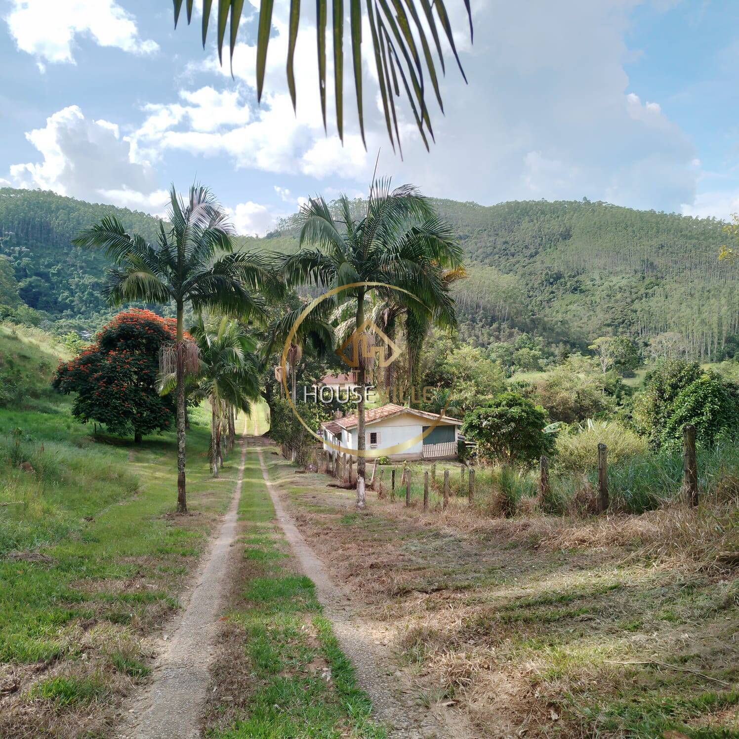 Fazenda à venda com 3 quartos, 1440000m² - Foto 7