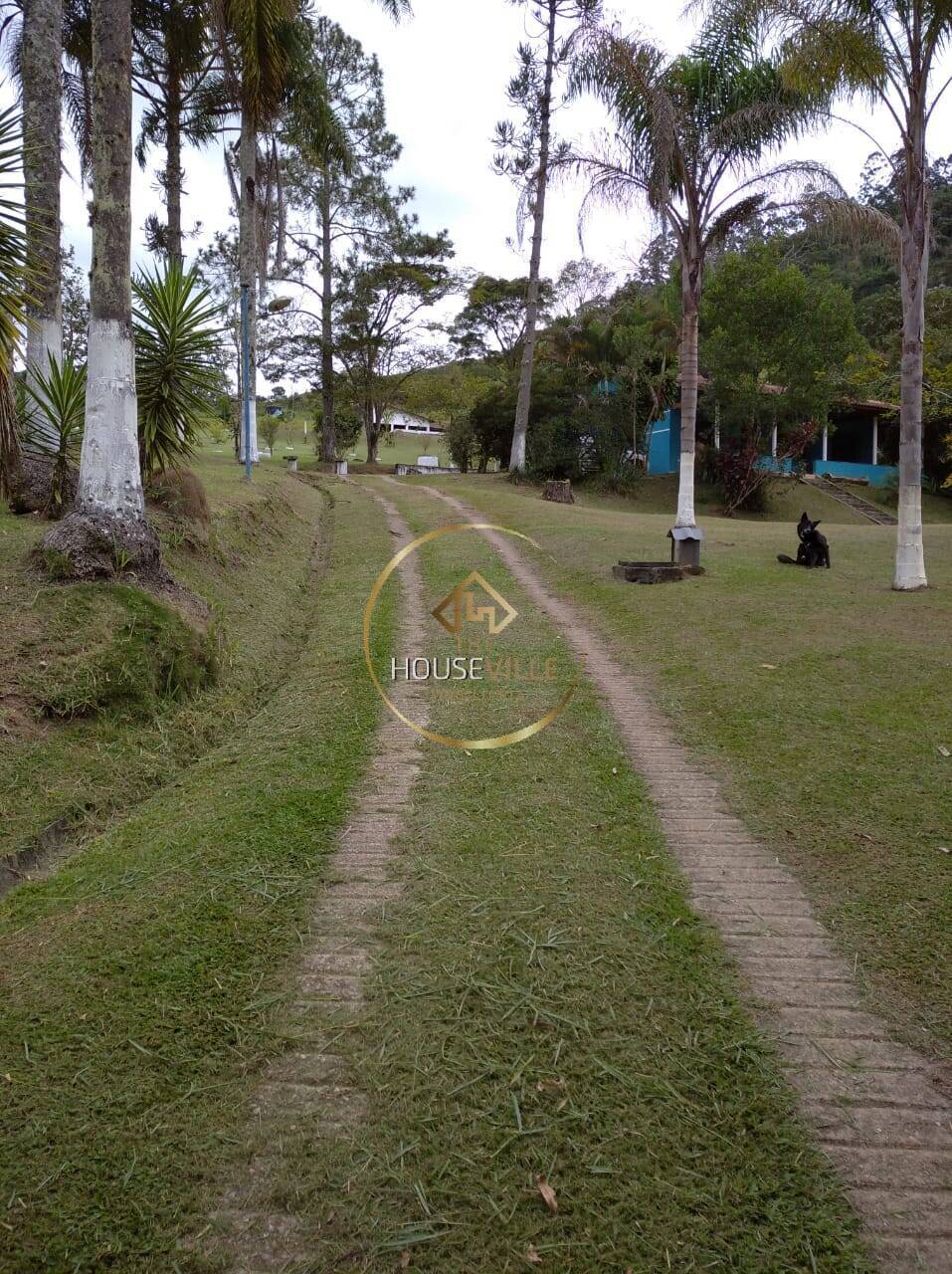 Sítio, 3 quartos, 1250 m² - Foto 5