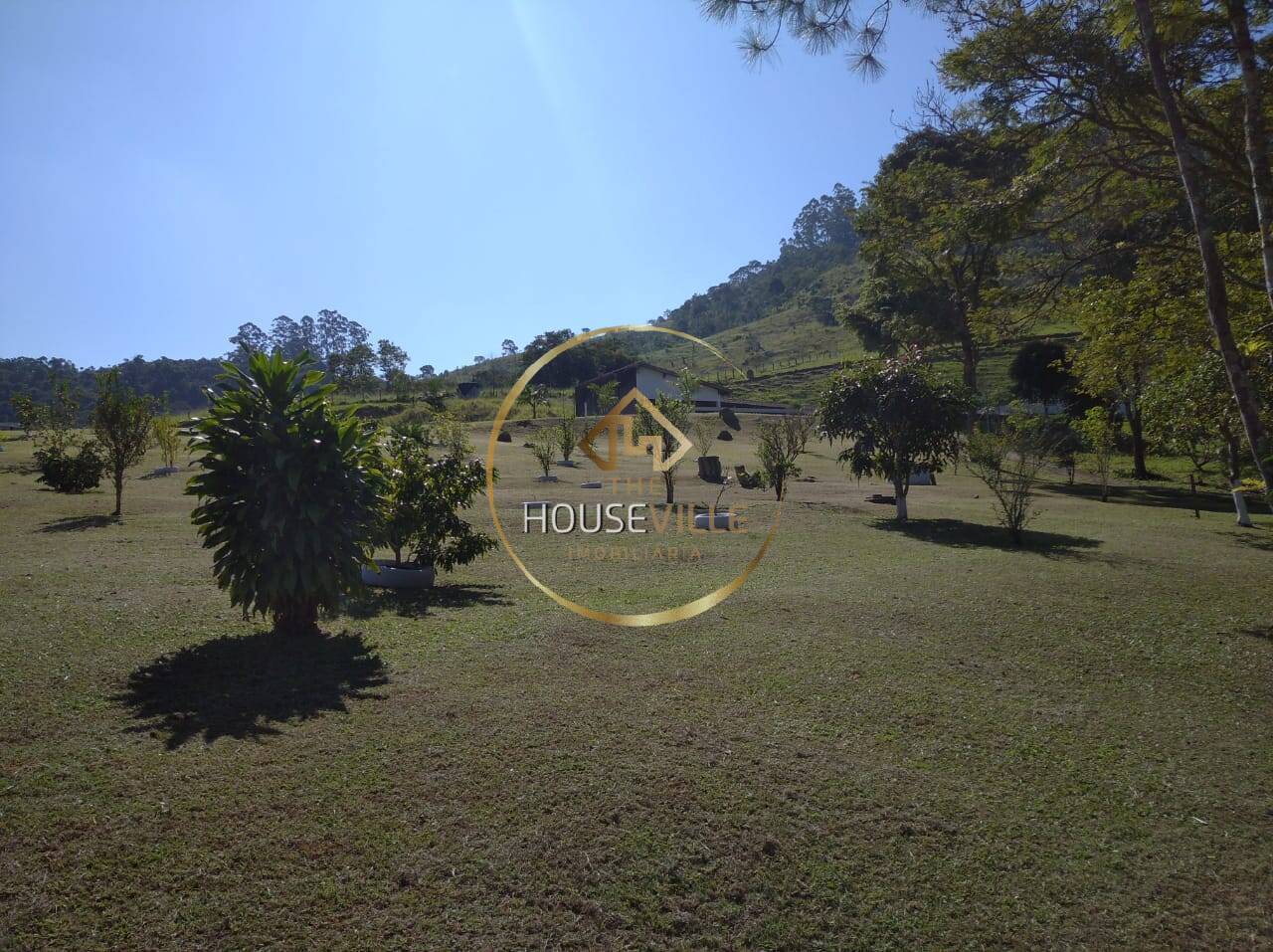 Sítio, 3 quartos, 1250 m² - Foto 6