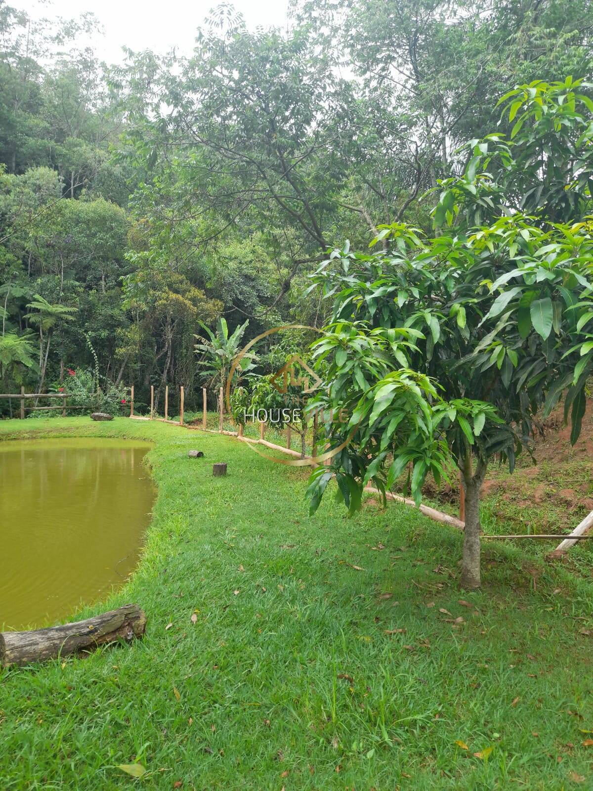 Chácara, 2 quartos, 2000 m² - Foto 12