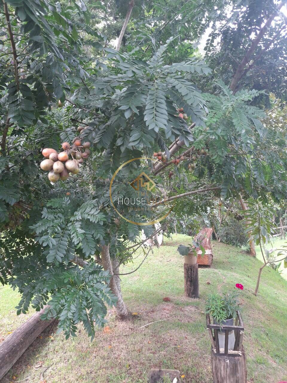 Chácara, 2 quartos, 2000 m² - Foto 13