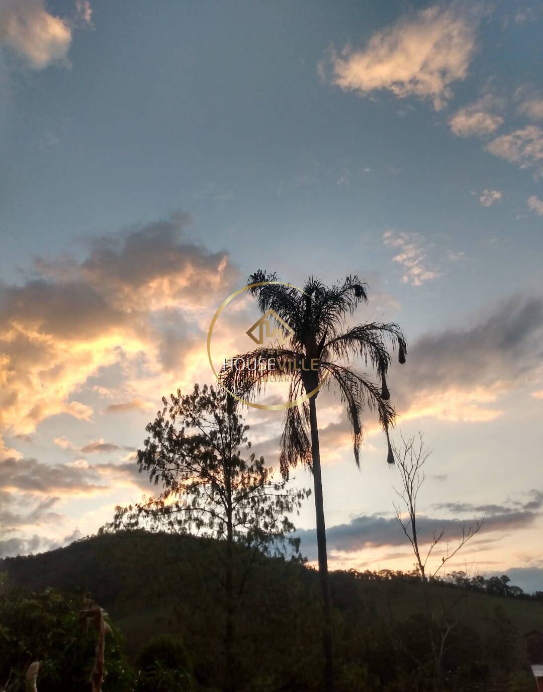 Chácara, 3 quartos, 3860 m² - Foto 17