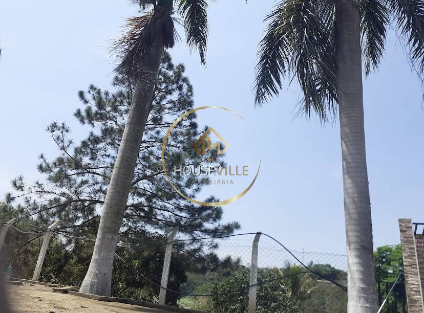 Terreno, 5000 m² - Foto 6